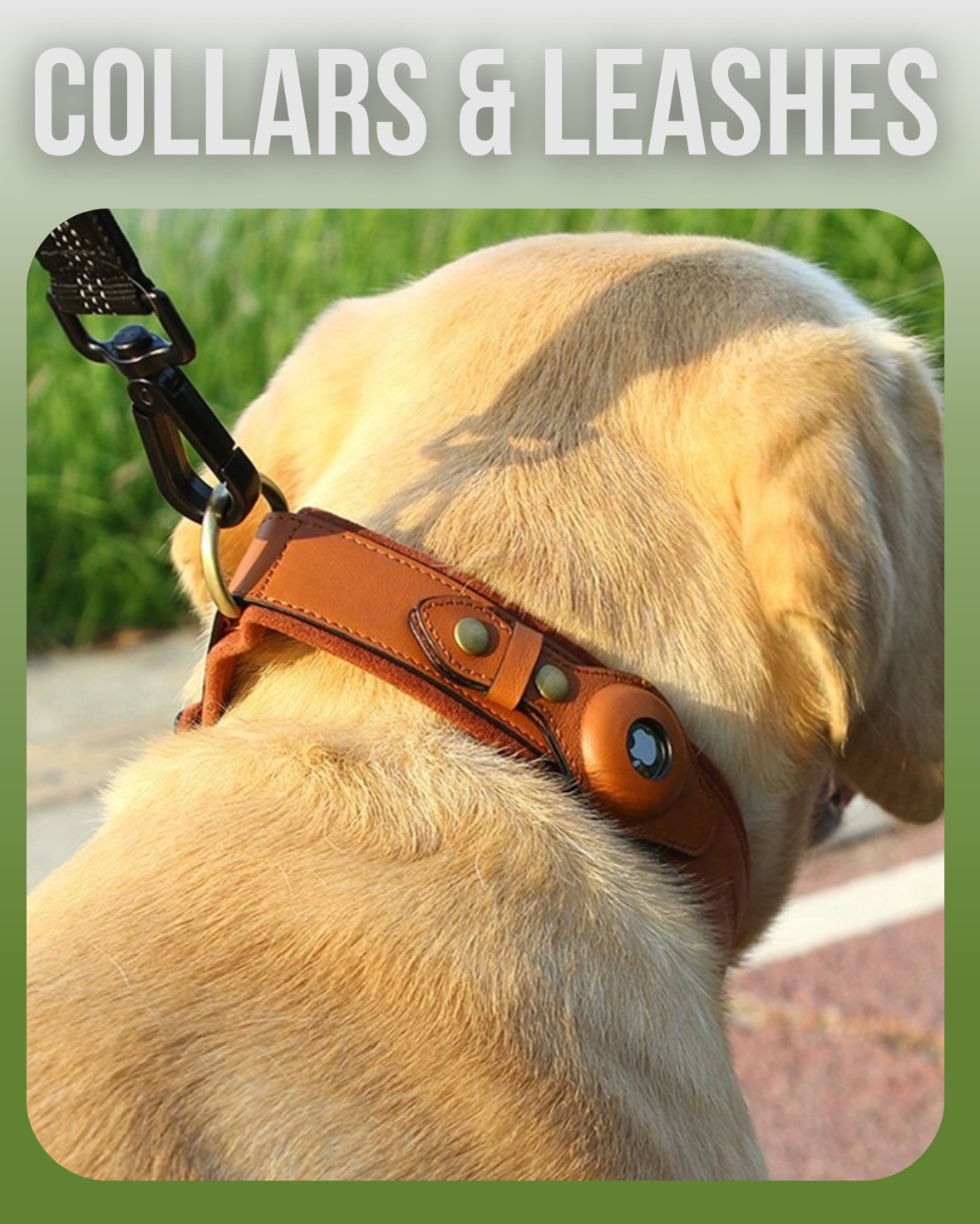 COLLARS & LEASHES