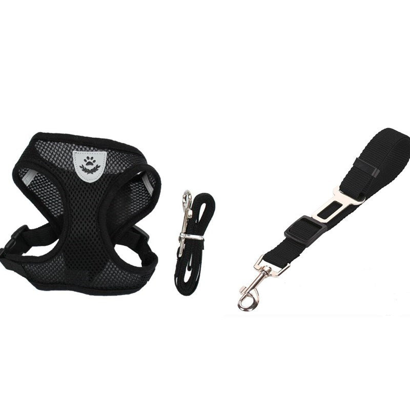 Tails Choice │Car Seat Belt Leash