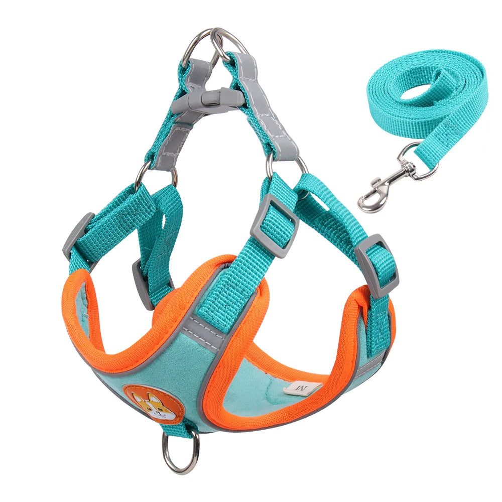 Tails Choice | Cat Harness And Leash Set