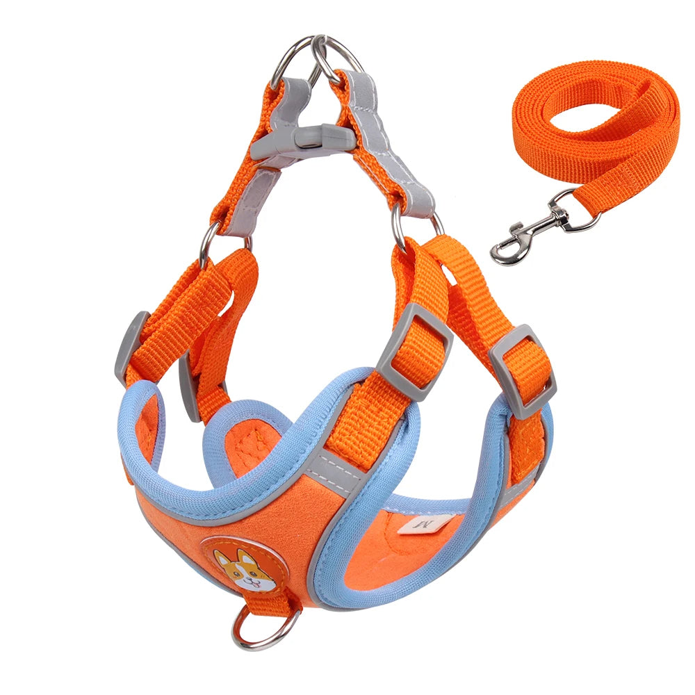 Tails Choice | Cat Harness And Leash Set