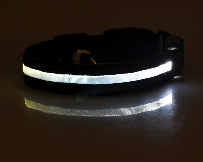 Tails Choice | LED Luminous Collar