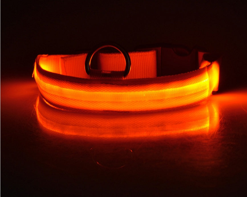 Tails Choice | LED Luminous Collar