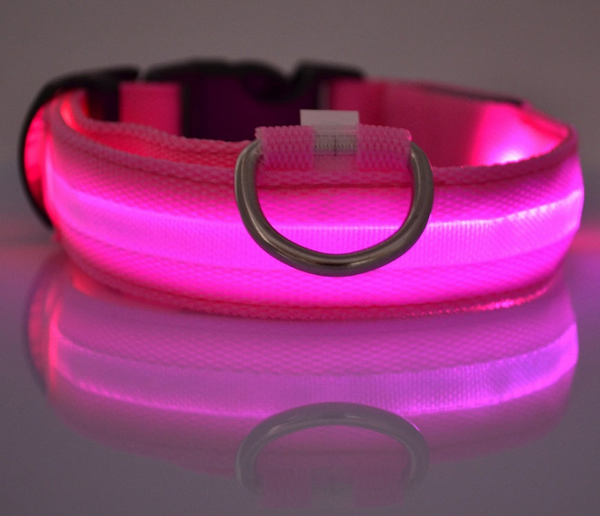 Tails Choice | LED Luminous Collar