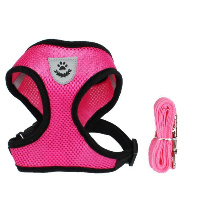 Tails Choice │Car Seat Belt Leash