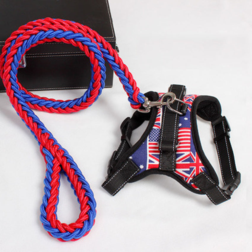 Tails Choice | Leash with Chest strap