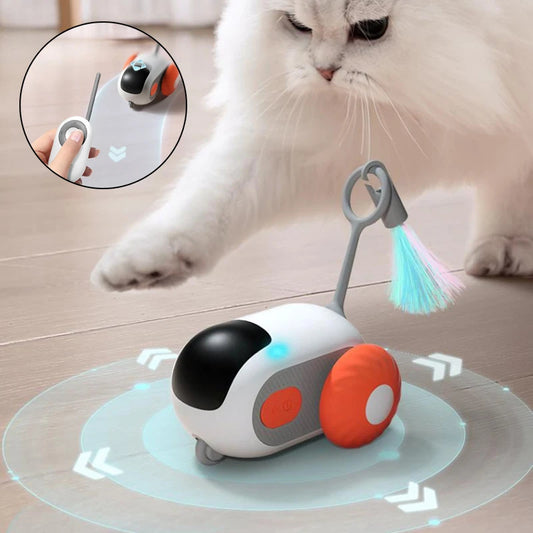 Tails Choice | Remote Control Interactive Chasing Toy