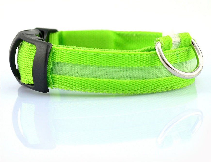 Tails Choice | LED Luminous Collar