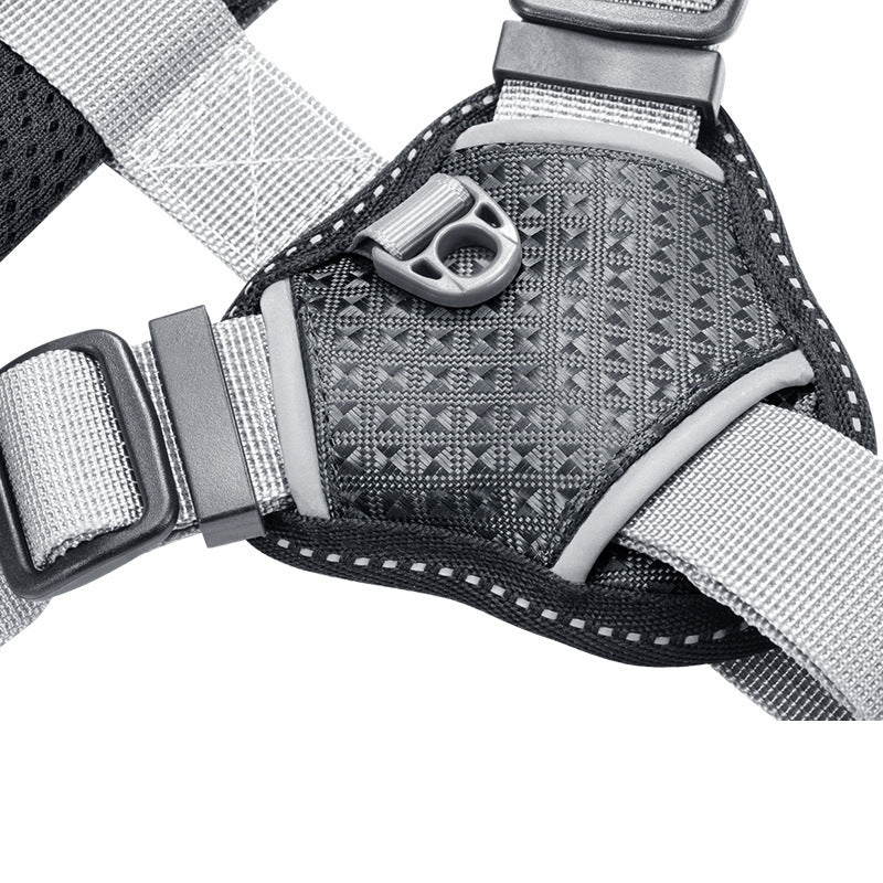 Tails Choice | Tuff Harness