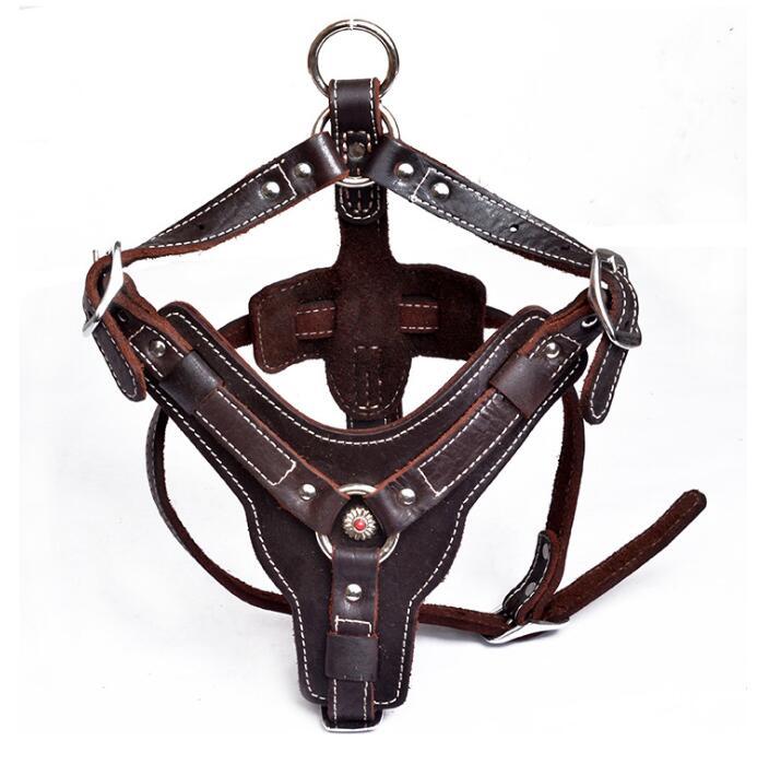 Tails Choice│Series Leather Leash