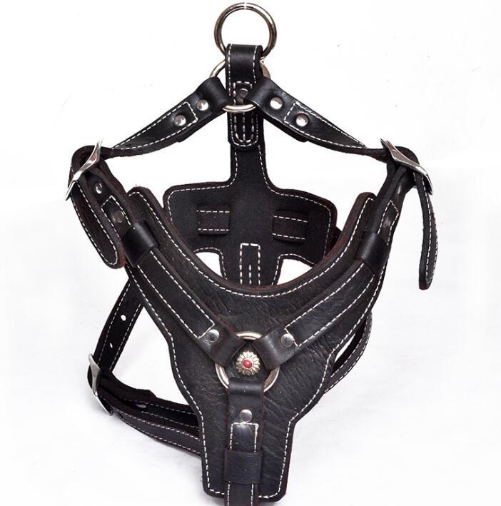 Tails Choice│Series Leather Leash