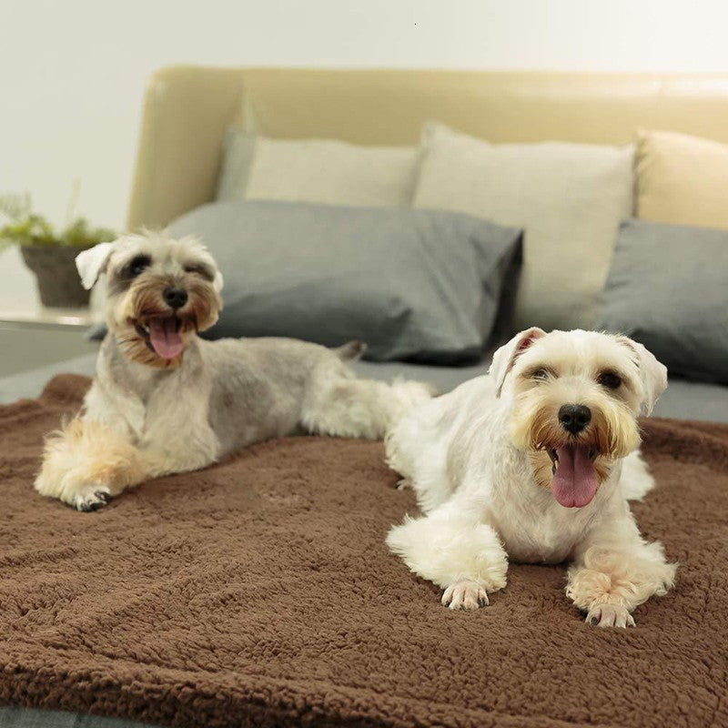 Tails Choice | Plush Pet Blanket Pet Mat