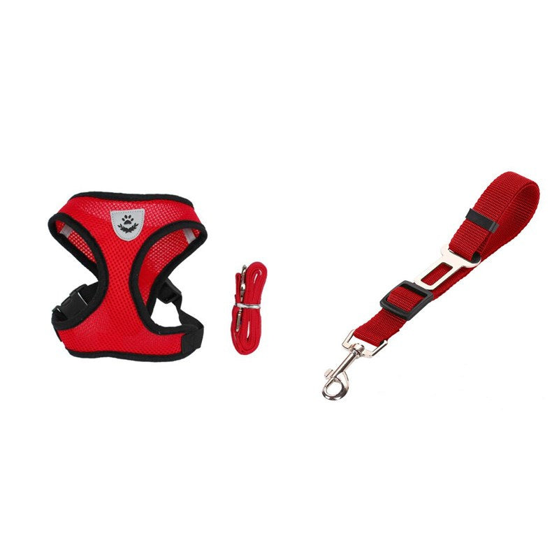 Tails Choice │Car Seat Belt Leash