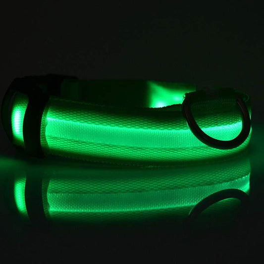 Tails Choice | LED Luminous Collar