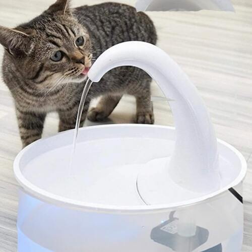 Tails Choice | Cat Drinking Fountain