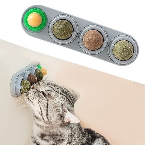 Tails Choice | Catnip Wall Ball