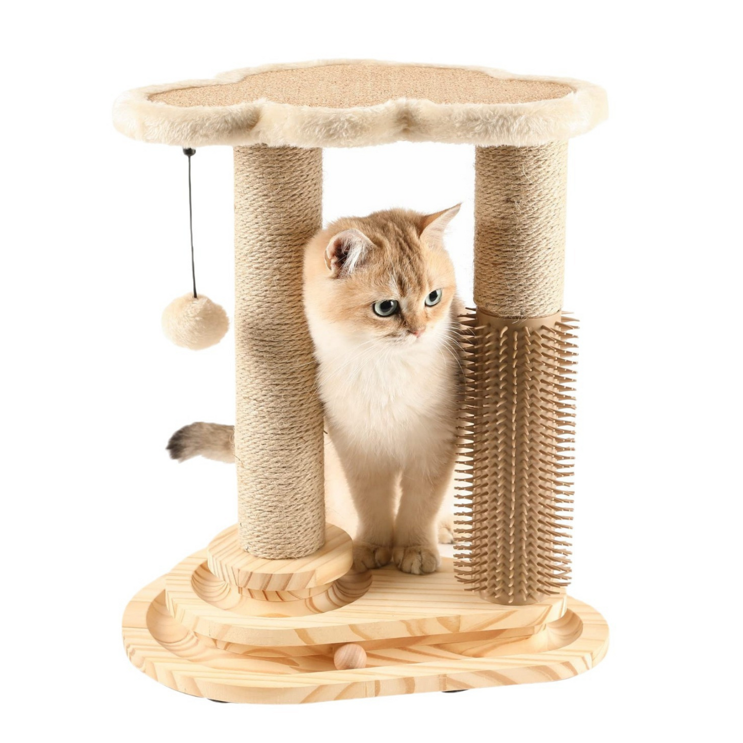 Tails Choice | Scratching Post