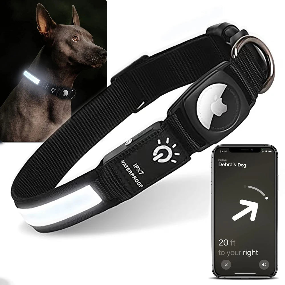 Tails Choice | LED Dog Collar