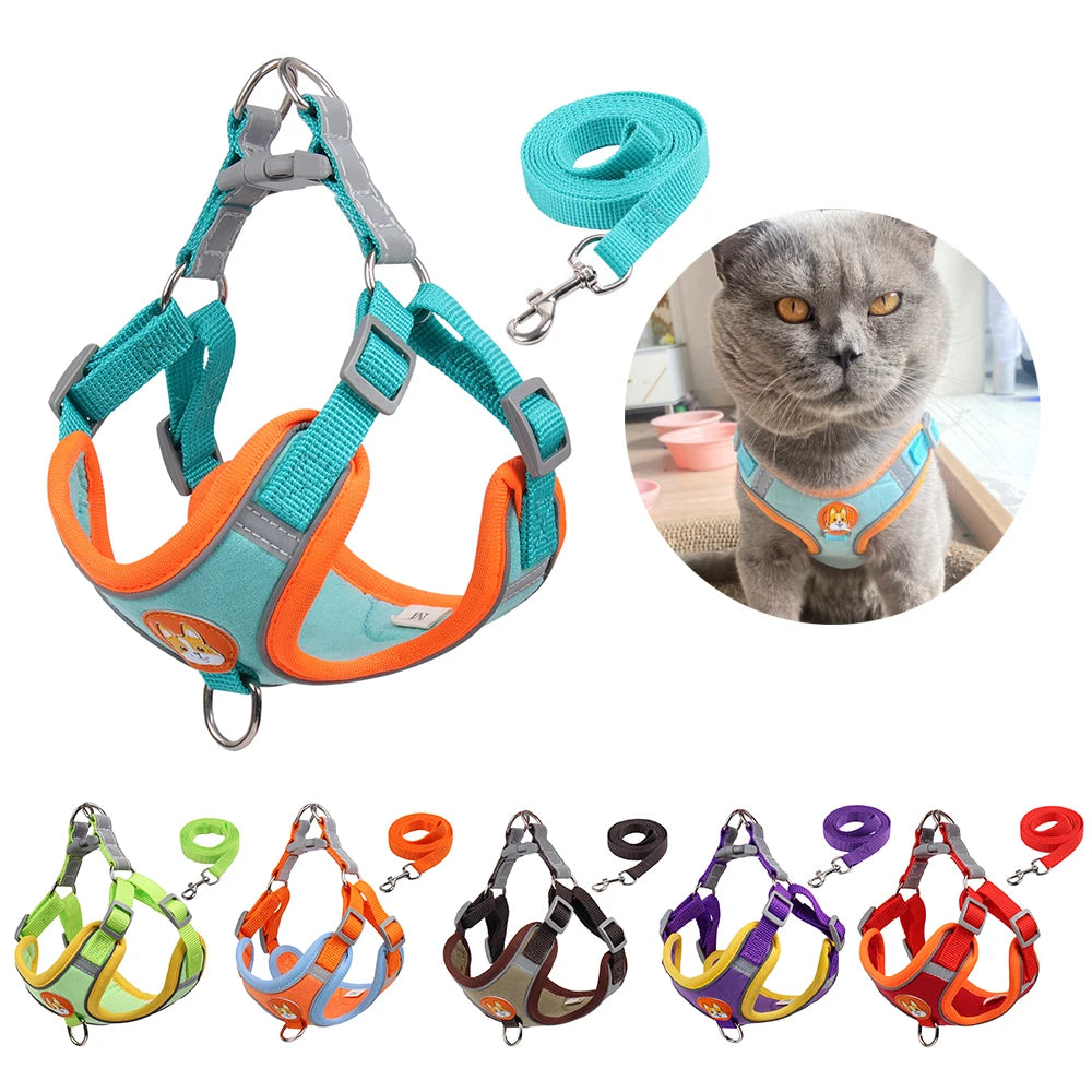 Tails Choice | Cat Harness And Leash Set