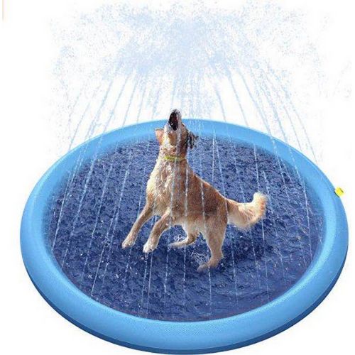 Tails Choice | Splash Sprinkler Pad