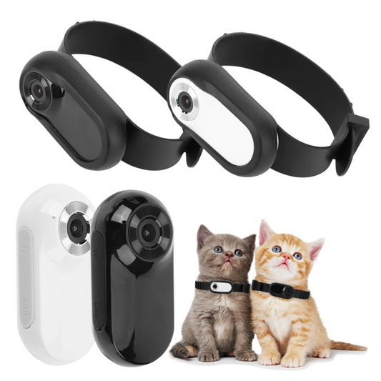 Tails Choice | Camera Collar