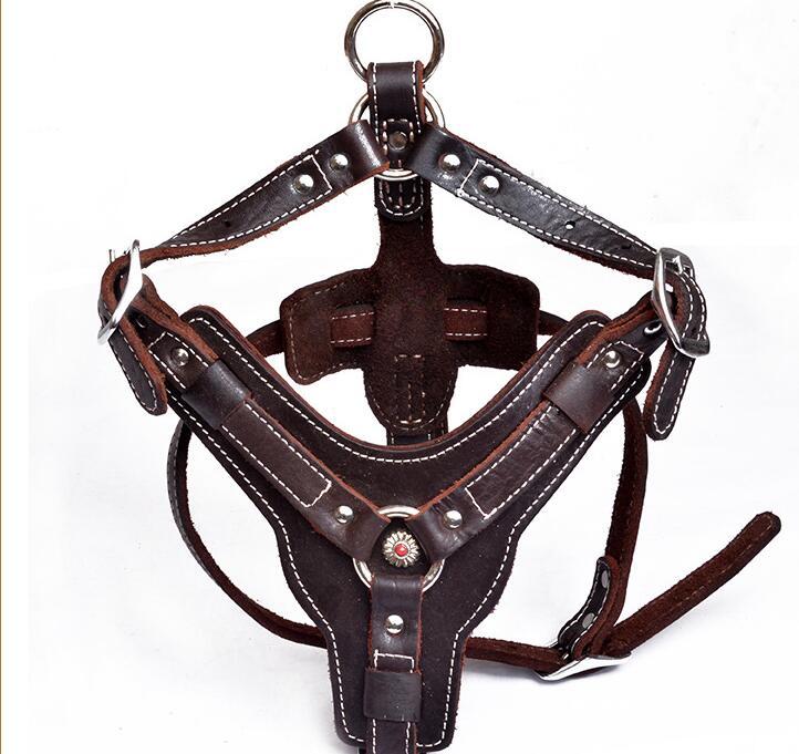 Tails Choice│Series Leather Leash