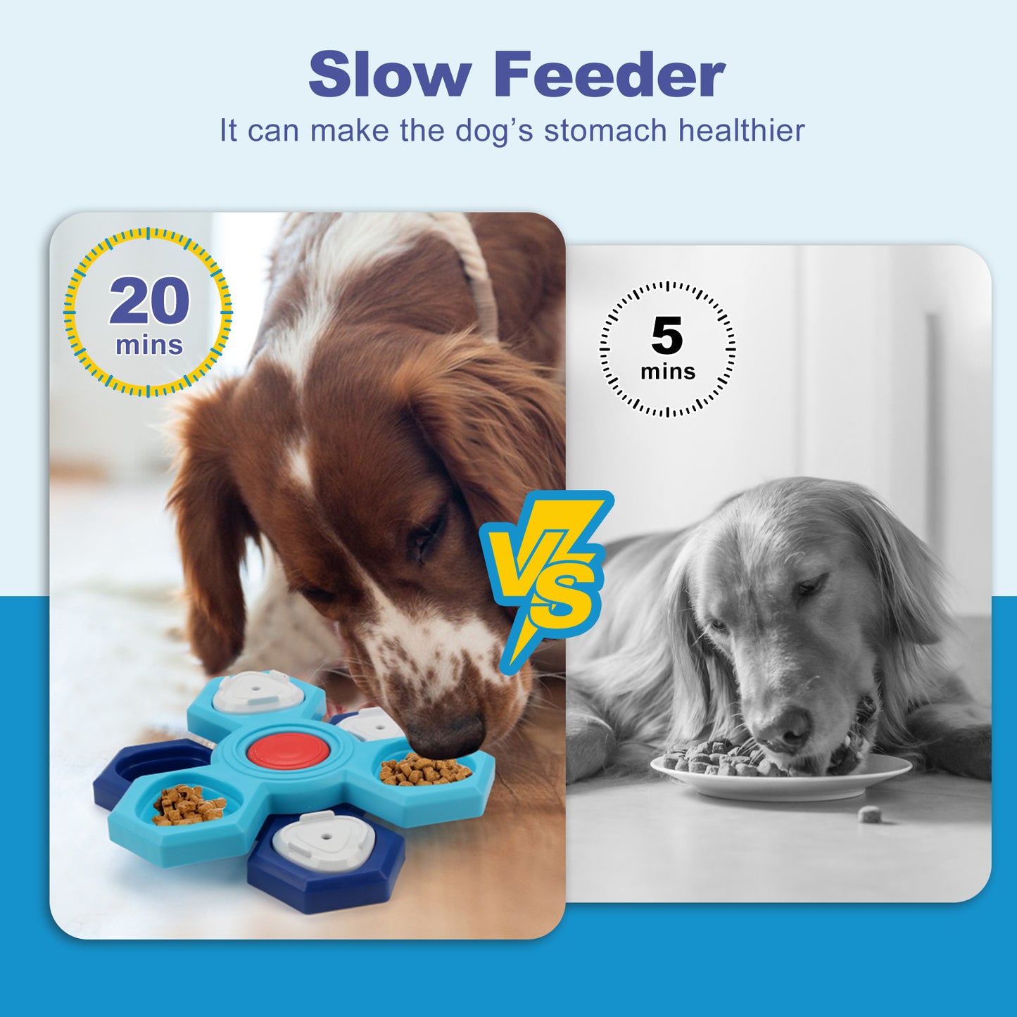 Tails Choice | 4 Layers Slow Feeder Puzzle Bowl