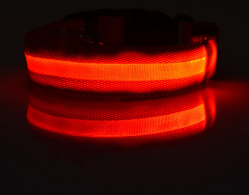 Tails Choice | LED Luminous Collar