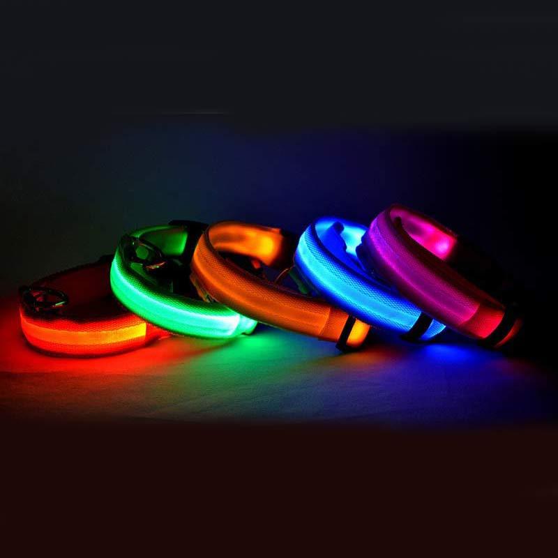 Tails Choice | LED Luminous Collar