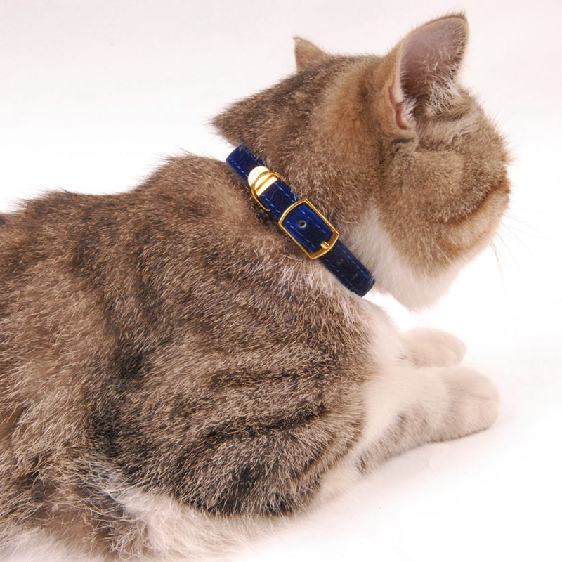 Tails Choice │Simple Pet Collar