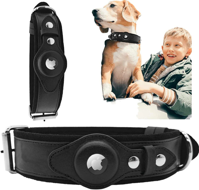 Tails Choice | Leather AirTag Dog Collar