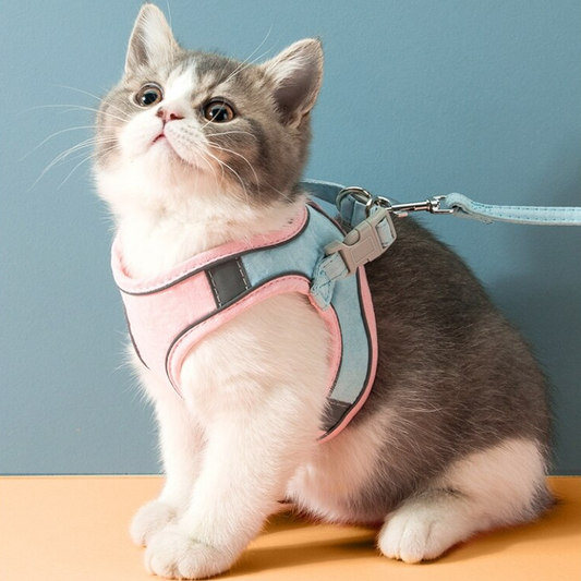 Tails Choice | Cat Vest Harness Leash Set