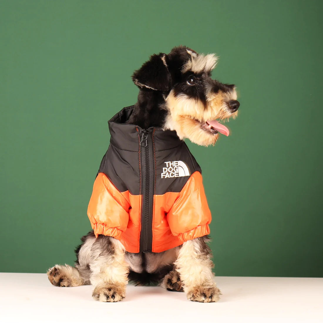 Tails Choice | Windproof Dog Jacket The Dog Face