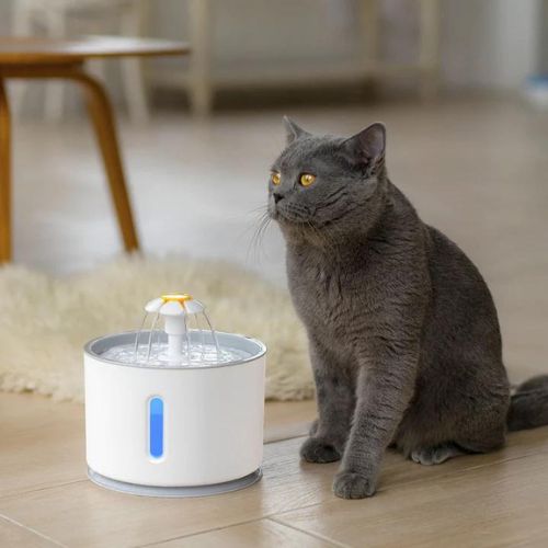 Tails Choice | Automatic Cat Water Fountain