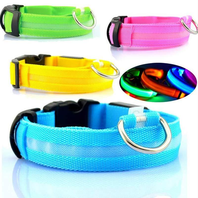 Tails Choice | LED Luminous Collar