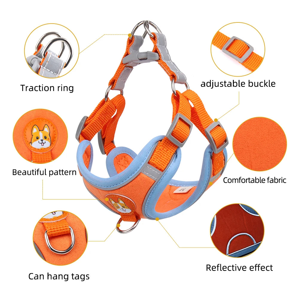 Tails Choice | Cat Harness And Leash Set