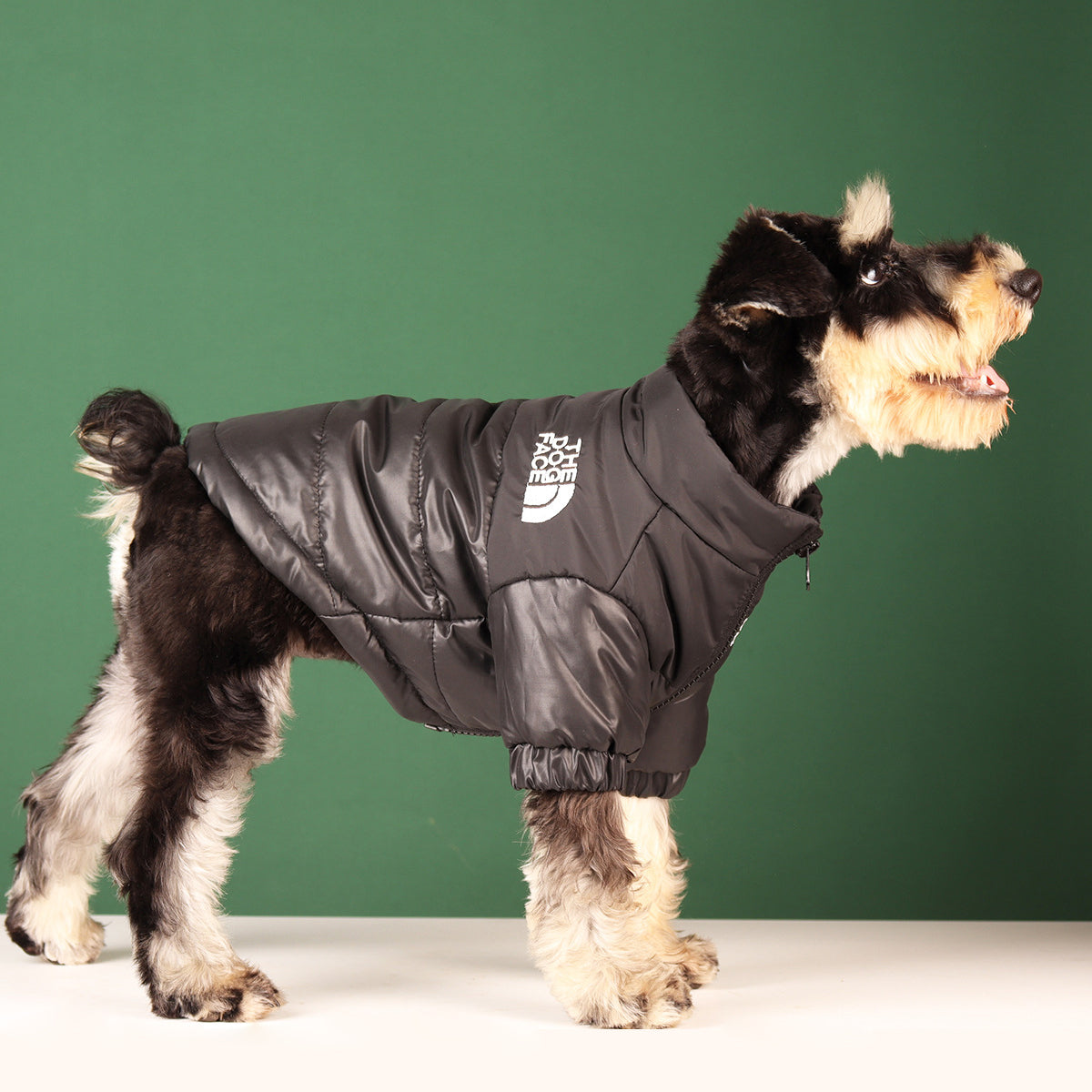 Tails Choice | Windproof Dog Jacket The Dog Face