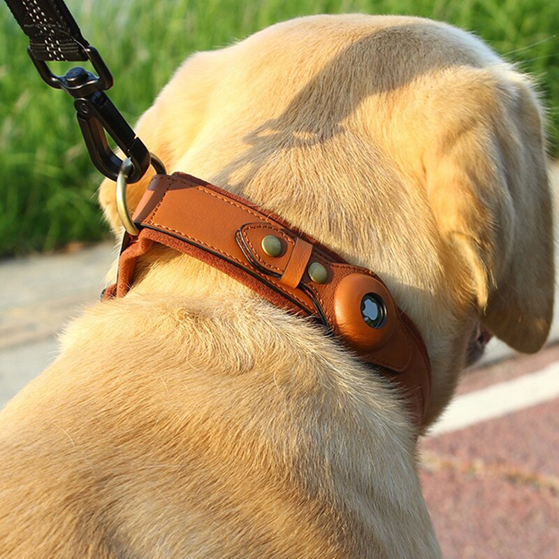 Tails Choice | Leather AirTag Dog Collar