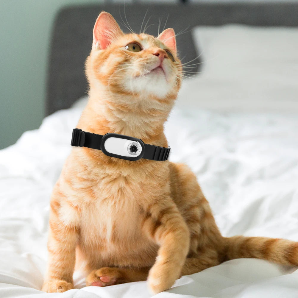 Tails Choice | Camera Collar