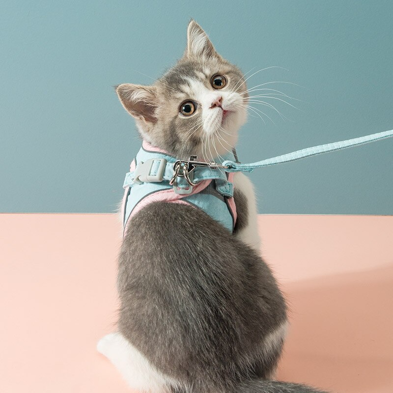 Tails Choice | Cat Vest Harness Leash Set