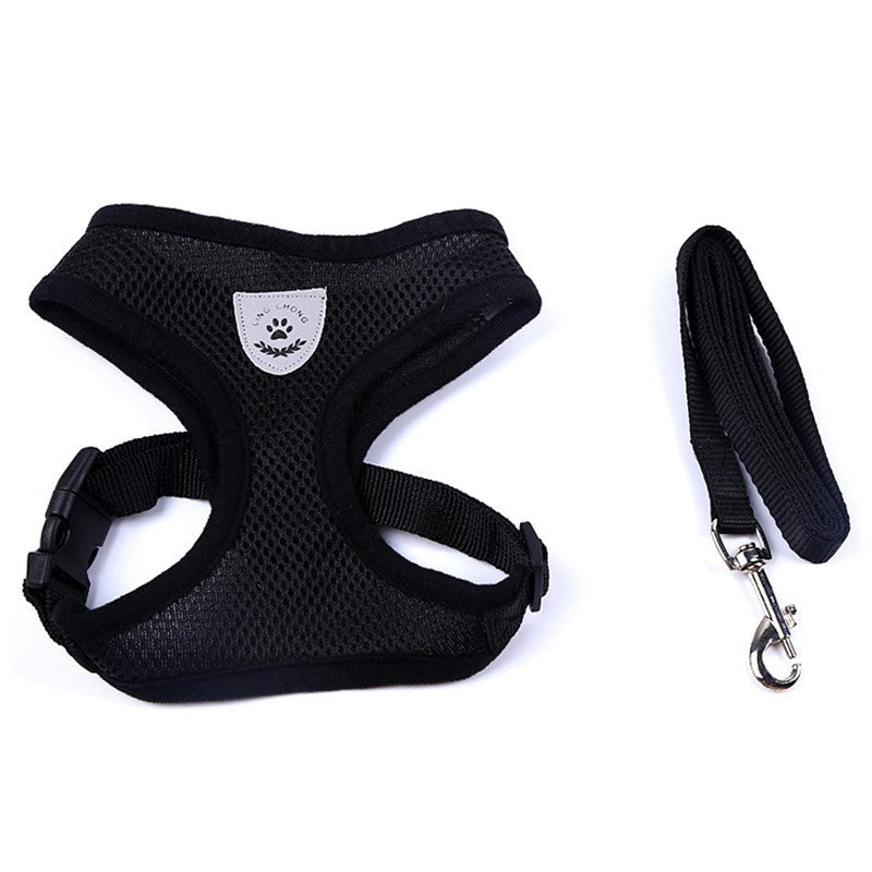 Tails Choice │Car Seat Belt Leash