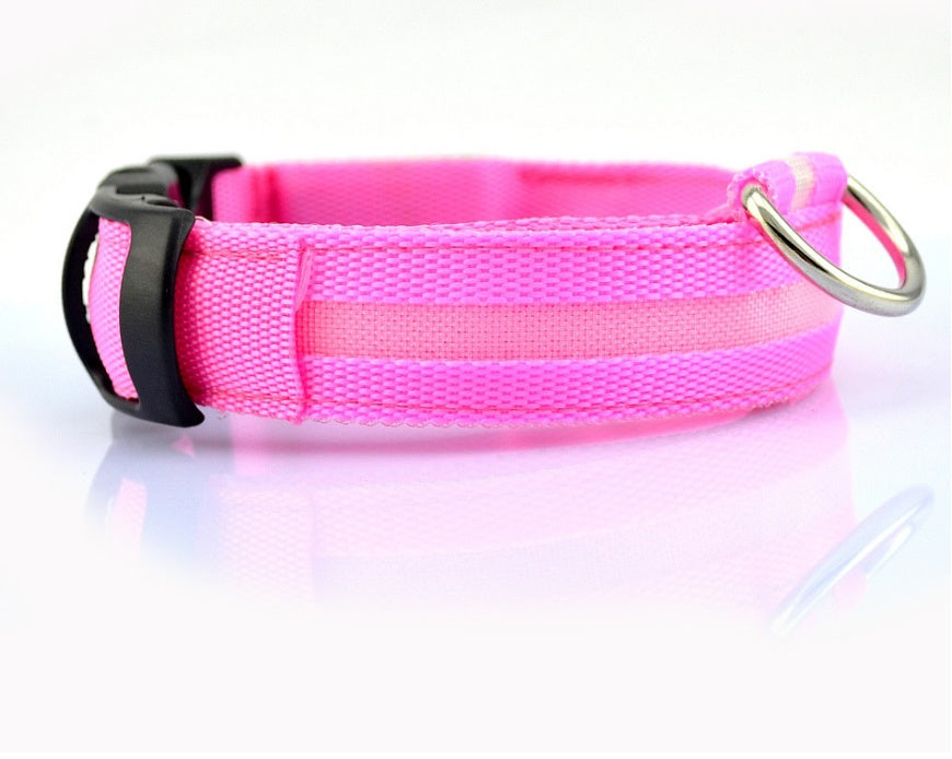 Tails Choice | LED Luminous Collar