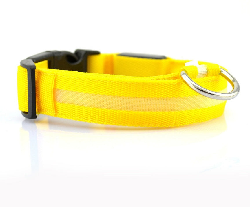 Tails Choice | LED Luminous Collar