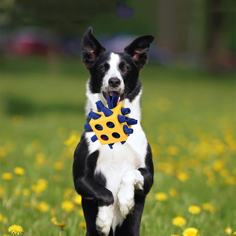 Tails Choice | Dog Cube Molar  Toys