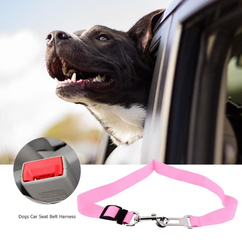 Tails Choice | Pet Car Seat Belt