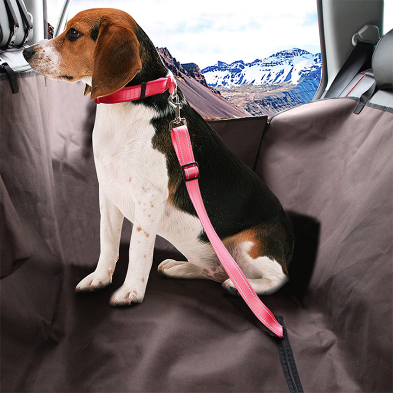 Tails Choice | Pet Car Seat Belt