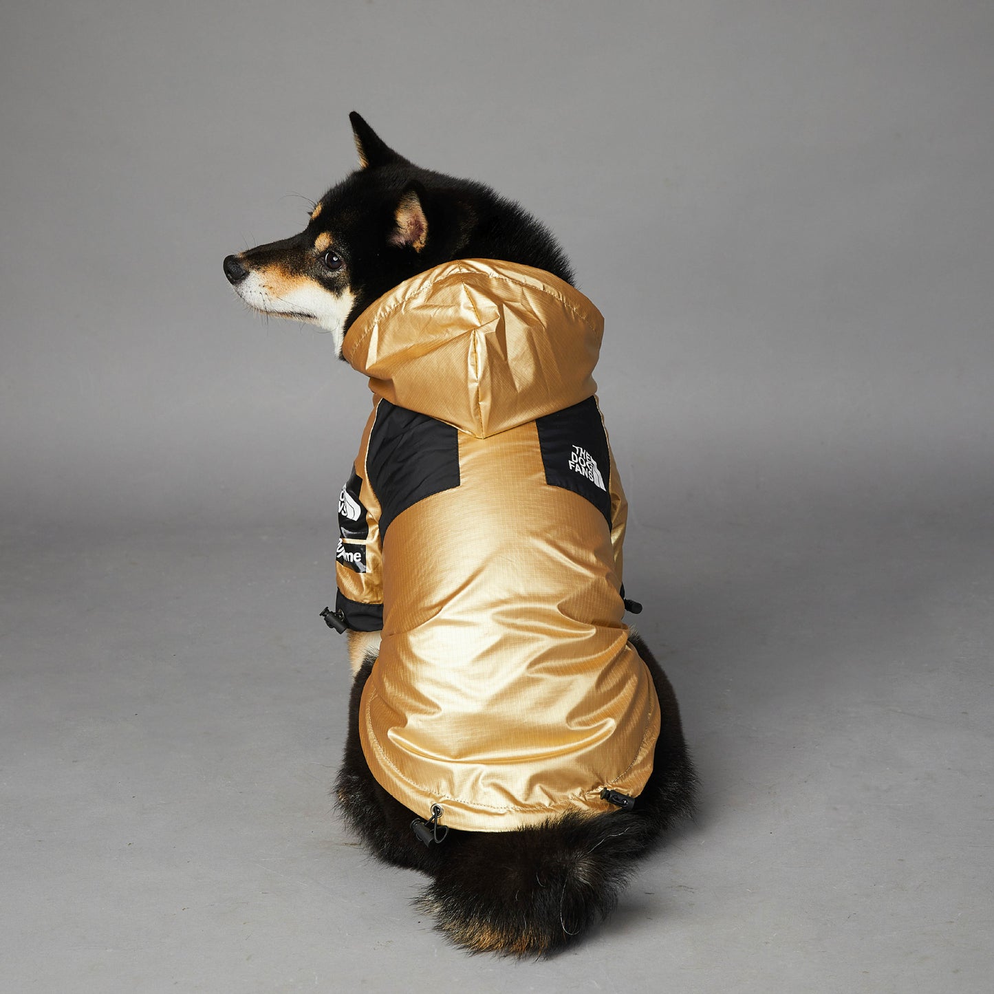 Tails Choice | Raincoat Jacket