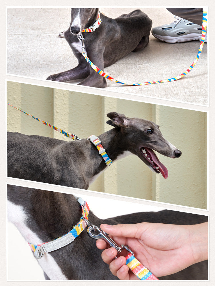 Tails Choice│Rome Collar & Leash