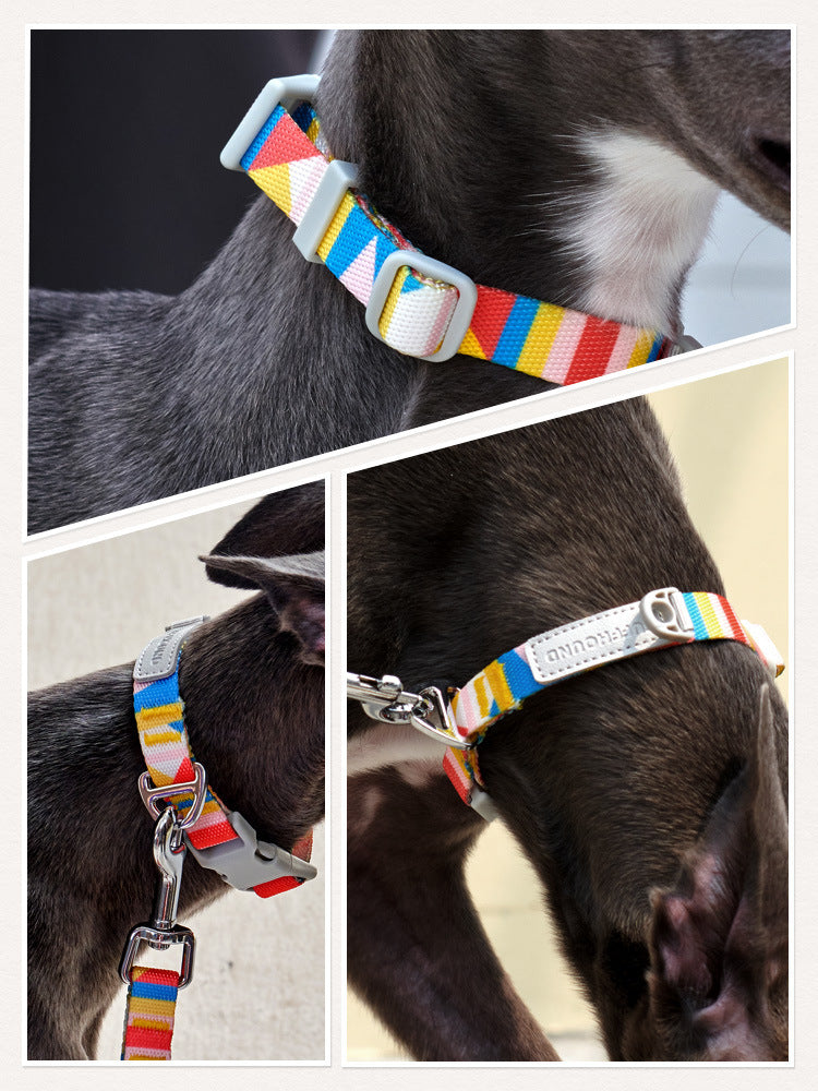 Tails Choice│Rome Collar & Leash