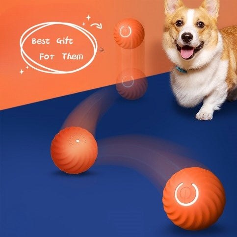 Tails Choice | Pet Training Ball