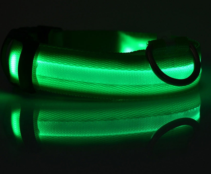 Tails Choice | LED Luminous Collar